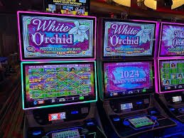 Sistem bonus dengan multiplier yang menguntungkan Sistem bonus dan multiplier di Big Time Gaming